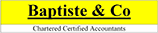 Baptiste & Co Logo